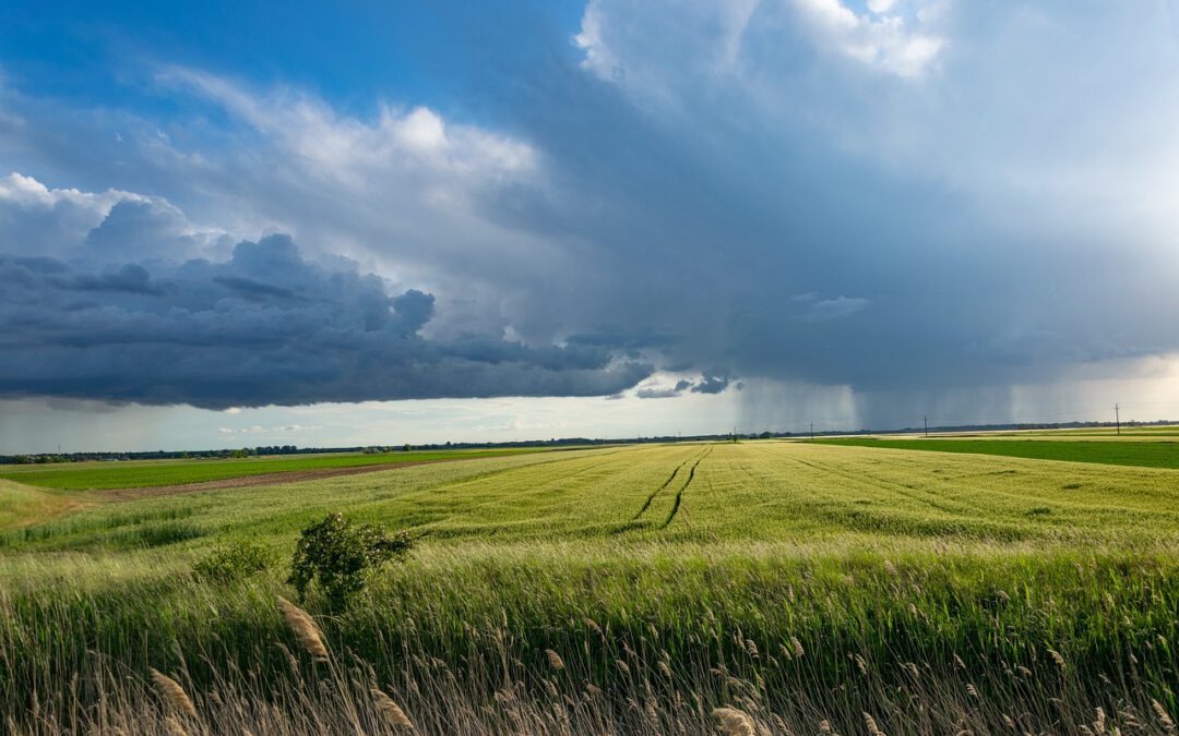 Landwirtschaft